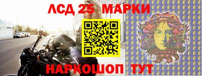 ГАЛЛЮЦИНОГЕННЫЕ ГРИБЫ Кандалакша