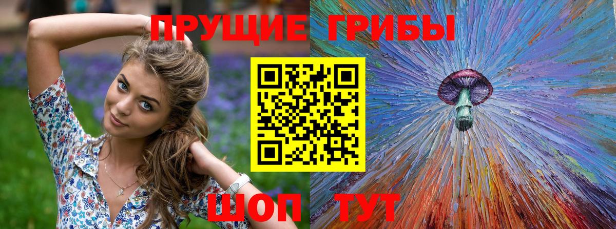 Крымск  Псилоцибиновые грибы мухоморы  Вход с VPN 